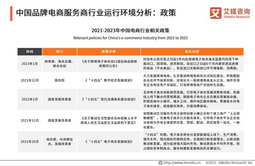 2023年中國(guó)品牌電商服務(wù)商行業(yè)研究報(bào)告 信息咨詢服務(wù)洞察與趨勢(shì)分析